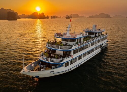 Swan Cruise