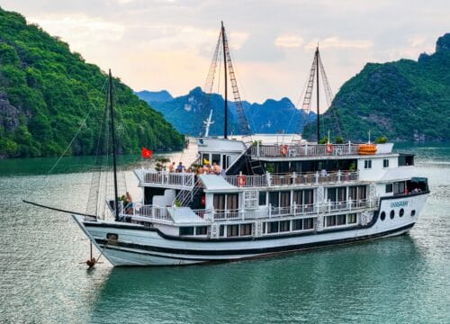 Oasis Bay Party Cruise