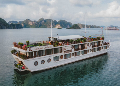 Calypso Cruise