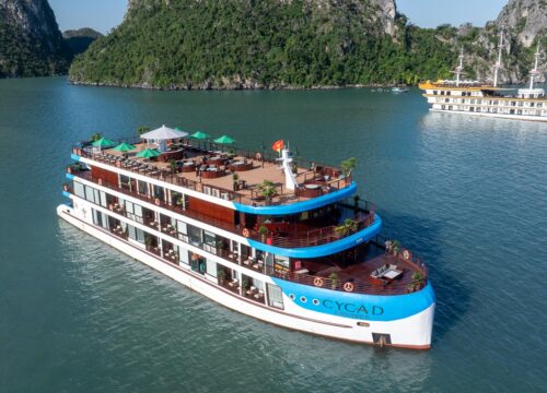 Cycad Cruise