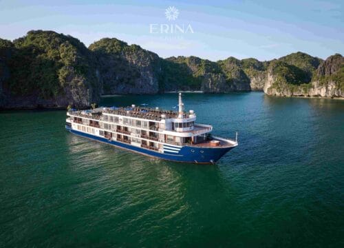 Erina Cruise