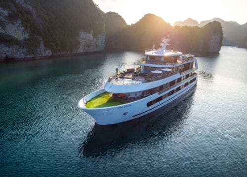 Stellar Of The Seas Cruise