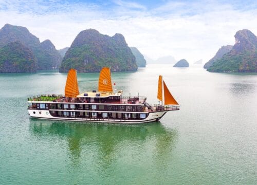 Peony Cruise