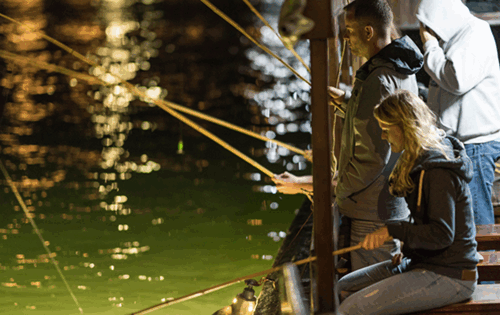 Night Squid Fishing: The Ultimate Evening Experience on Ha Long Bay