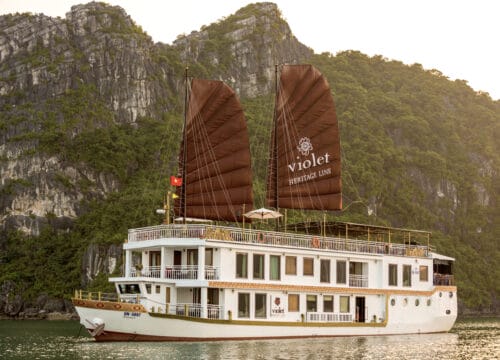 Heritage Line Violet Cruise