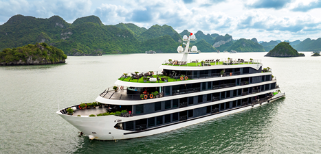Venus Cruise