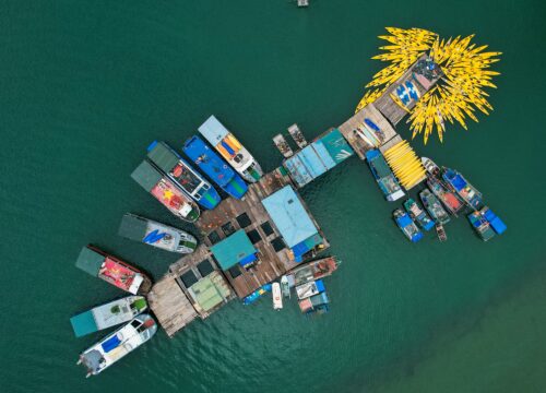 Visiting Floating Fishing Villages: A Cultural Journey in Halong Bay
