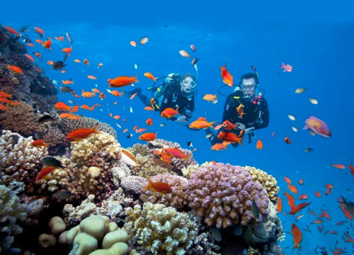 Snorkeling and Scuba Diving: Discover Ha Long Bay’s Hidden Underwater World
