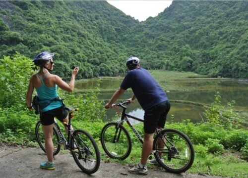 Cycling in Viet Hai Village: A Journey Through Cat Ba’s Hidden Oasis